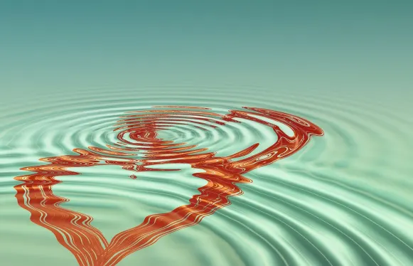 Rokubet Casino Supporto